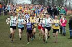 Senior mens Inter Counties Cross Country, Prestwold Hall, Loughborough. Photo: David T. Hewitson/Sports for All Pics